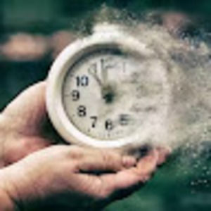 Meet your Posher, Bryant